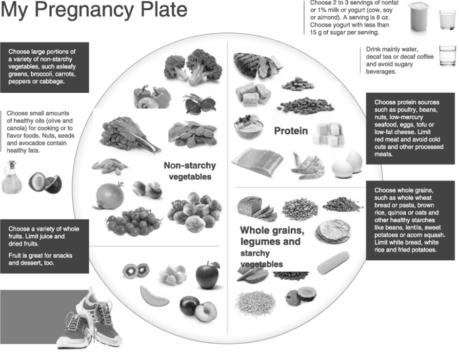 Nutrition During Pregnancy